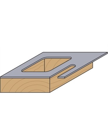 Fraises à copier occulus