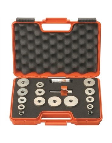 Coffrets maxi de fraises à feuillurer