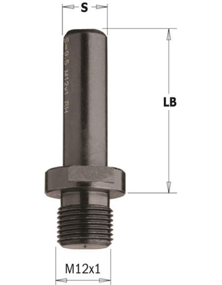 Adaptors with parallel shank for interchangeable bits