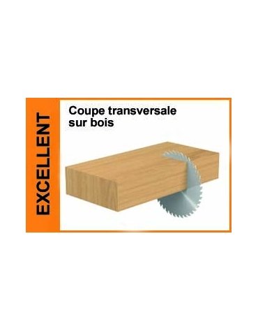 Lame circolari per tagli trasversali, per seghe portatili della gamma CMT ECO di CMT