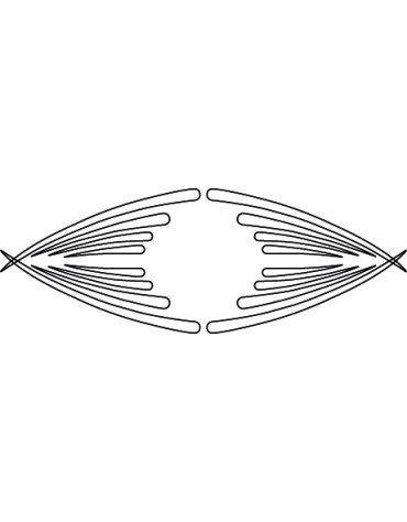 Sistema di fresatura 3D Carver - Progettazione di cassetti e mobili con sistemi di fresatura 3D Carver di CMT