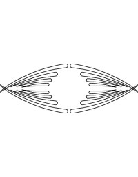 Système de défonceuse 3D Carver - Dessins pour tiroirs et meubles