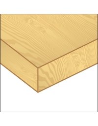 Lama in metallo e legno (carbonio) con denti temprati in nastri non affilabili di FOREZIENNE MFLS