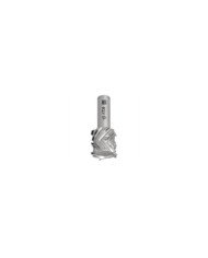Frese diamantate Z4+2+4