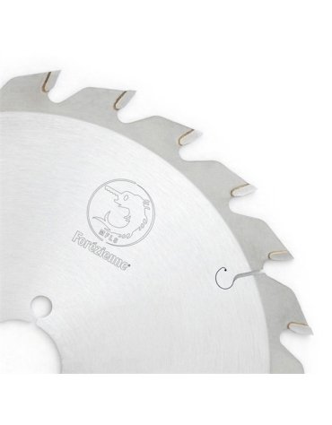 Lame circulaire carbure denture biseau alterné