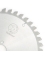 Trapez-Hohlzahn - Ref. LC3507222M - Z 72