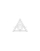Carbide inserts - Triangle - Ref. PLAQ0463 - N STANDARD