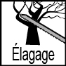 lss-elagage.jpg